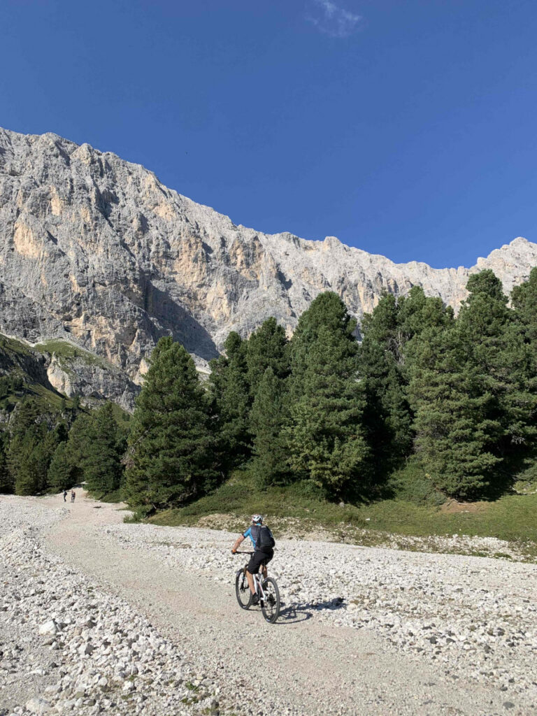 Sur les chemins blancs