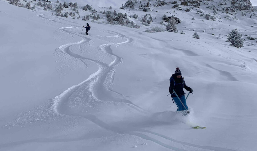skieur dans la poudreuse