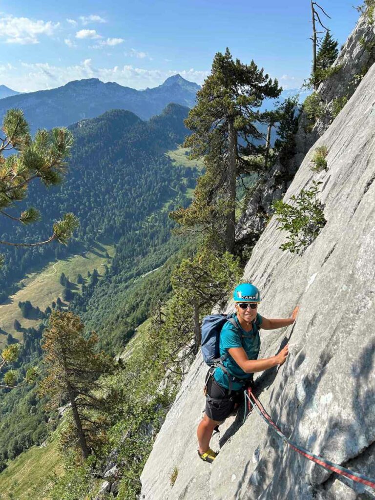 Dans la voie "Pas de Rock pour les Boeufs"